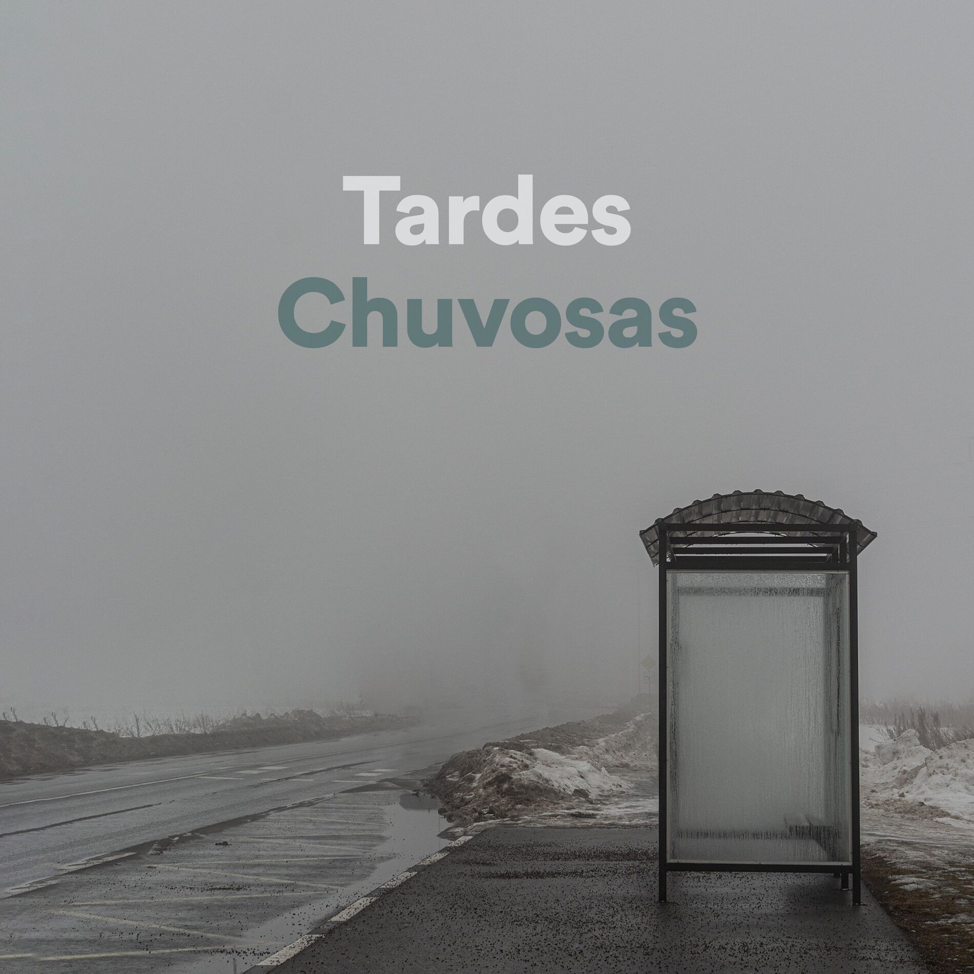 Album cover of Andando Pela Cidade na Chuva