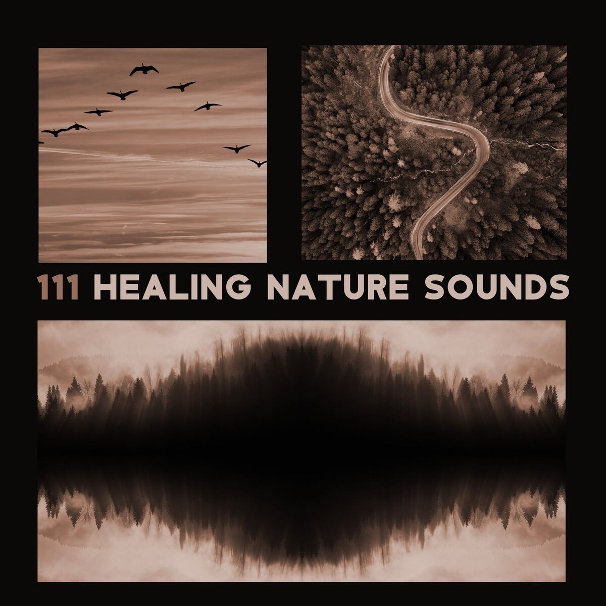 Album cover of 111 Healing Nature Sounds (Sea Music, Power of Aqua, Rumble Rain and Thunderstorm, Calming Flow River, Gentle Waterfall & Underwat