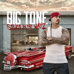 Cover of Stuck In My Wayz