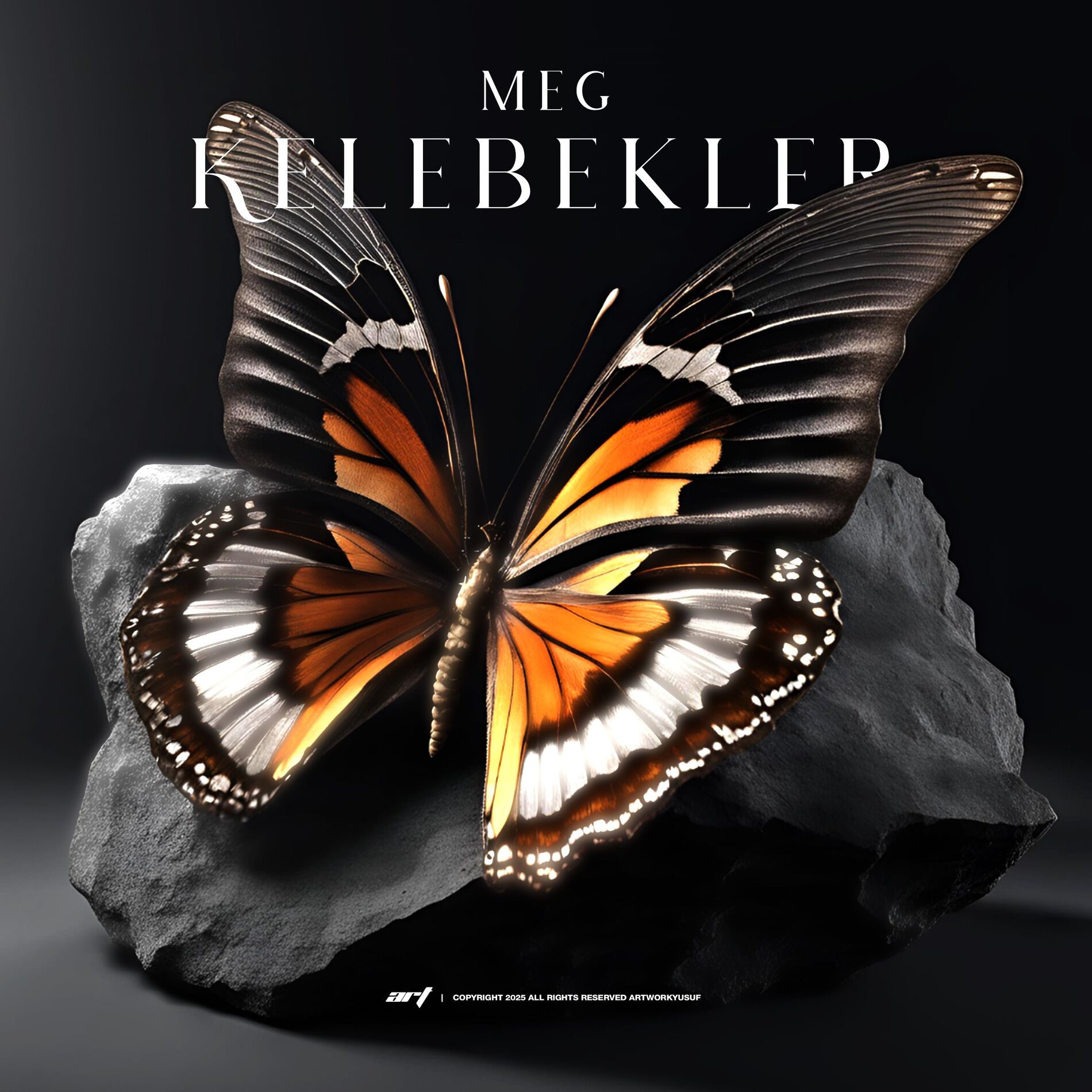 Album cover of Kelebekler