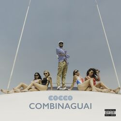 Cover of Combinaguai