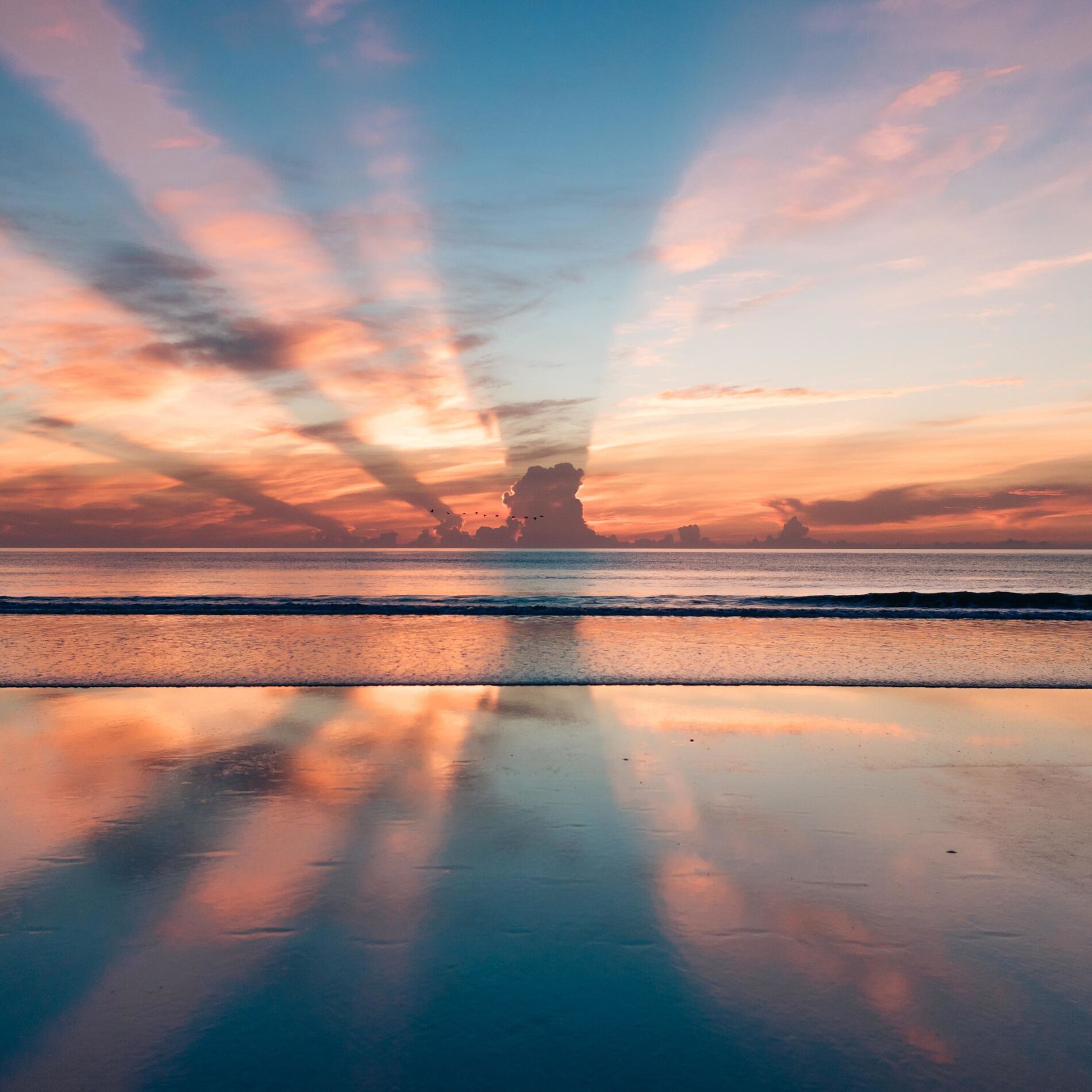 Album cover of Stillness