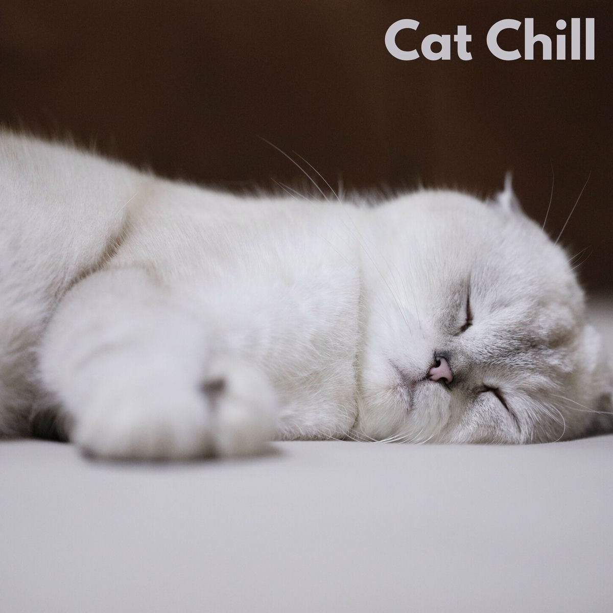 Album cover of Cat Chill (Loopable, No Fade)