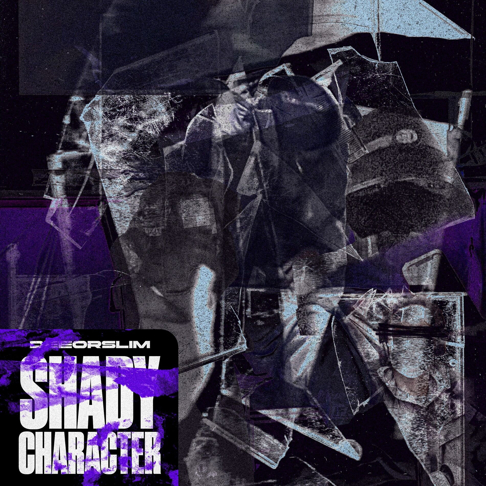 Album cover of Shady Character