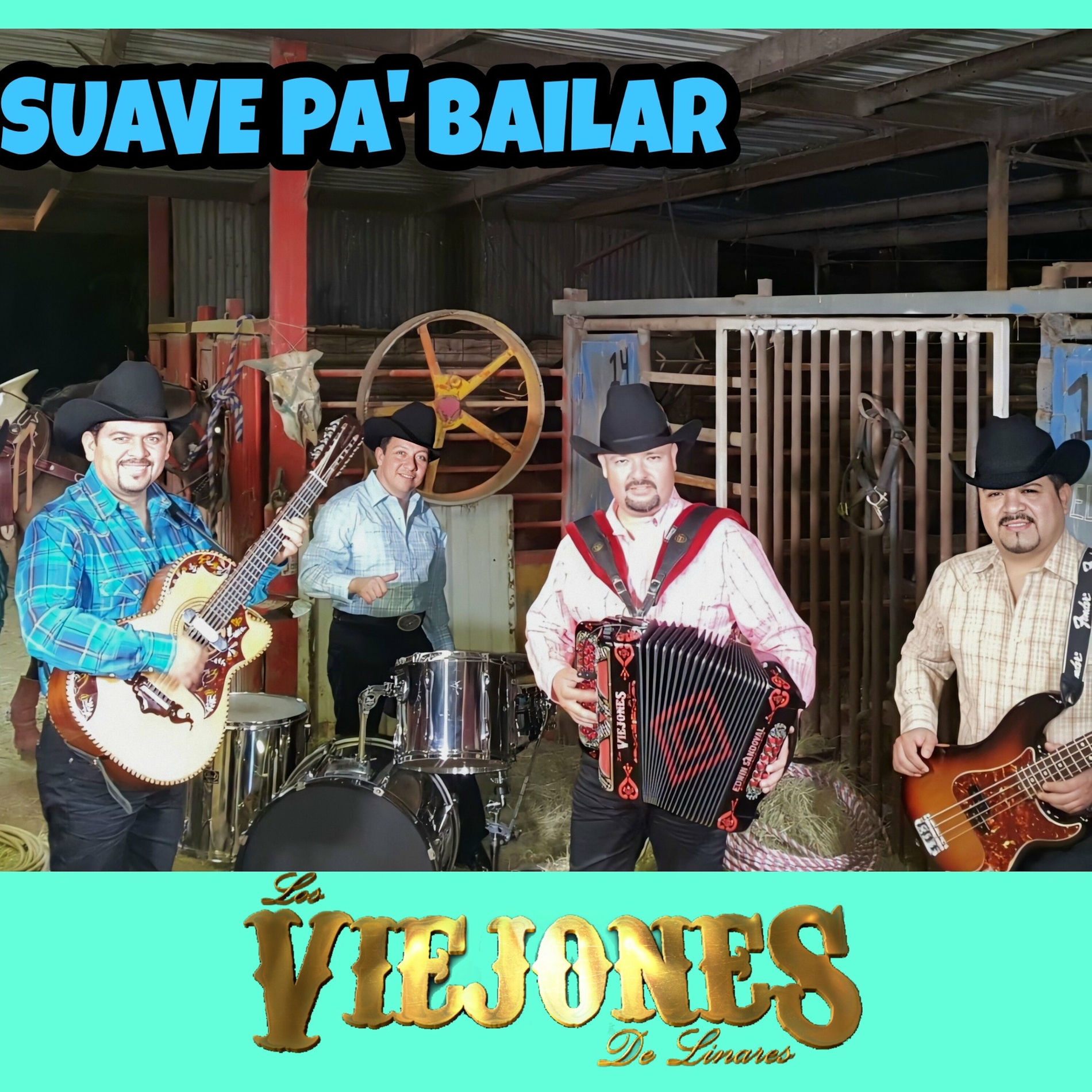 Album picture of Suave Pa´ Bailar