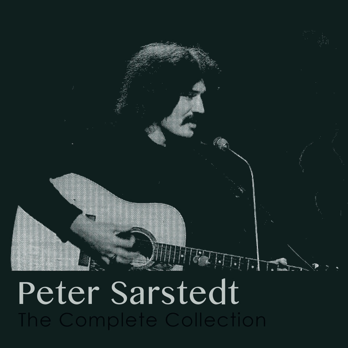 Album cover of I Am a Cathedral