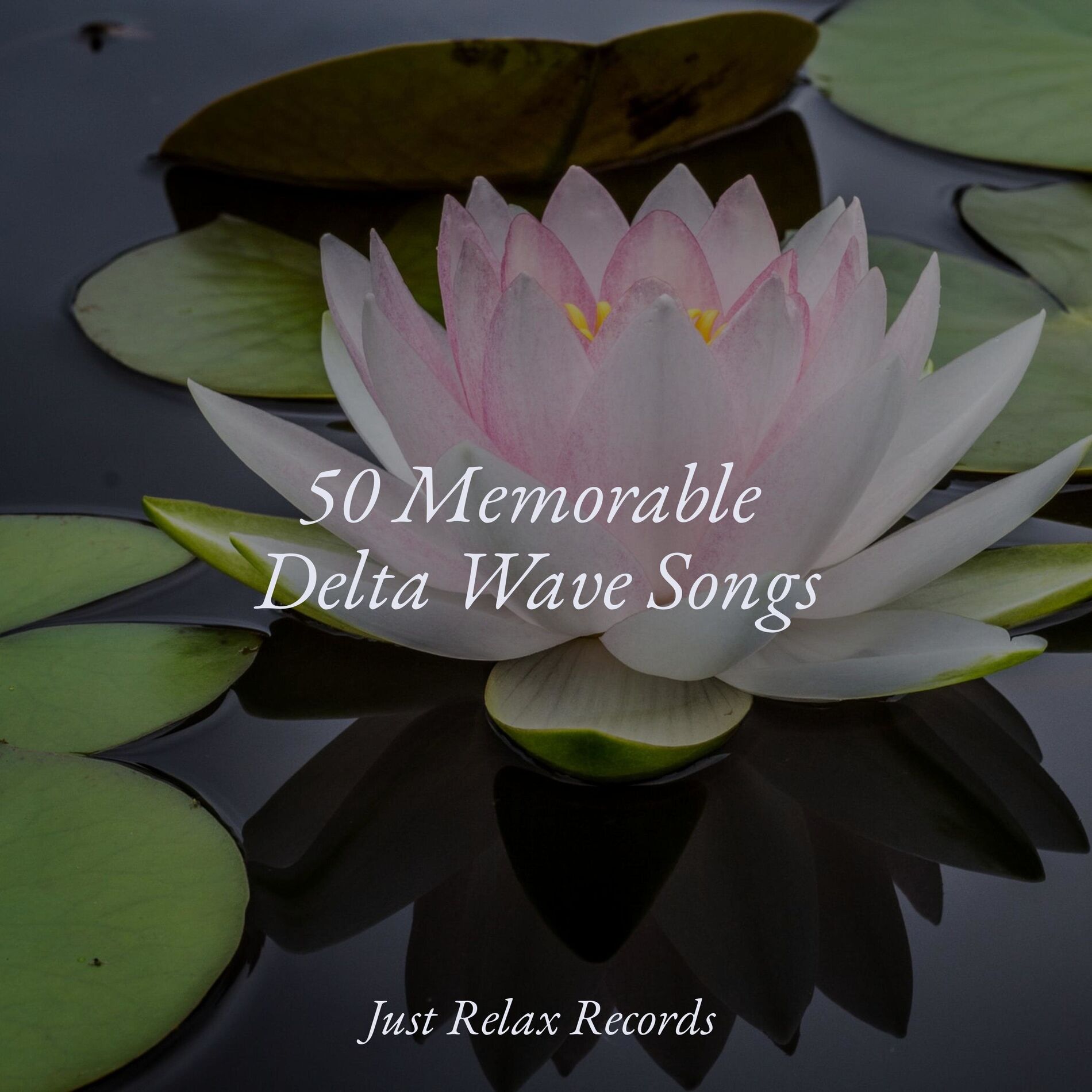 Album cover of 50 Memorable Delta Wave Songs