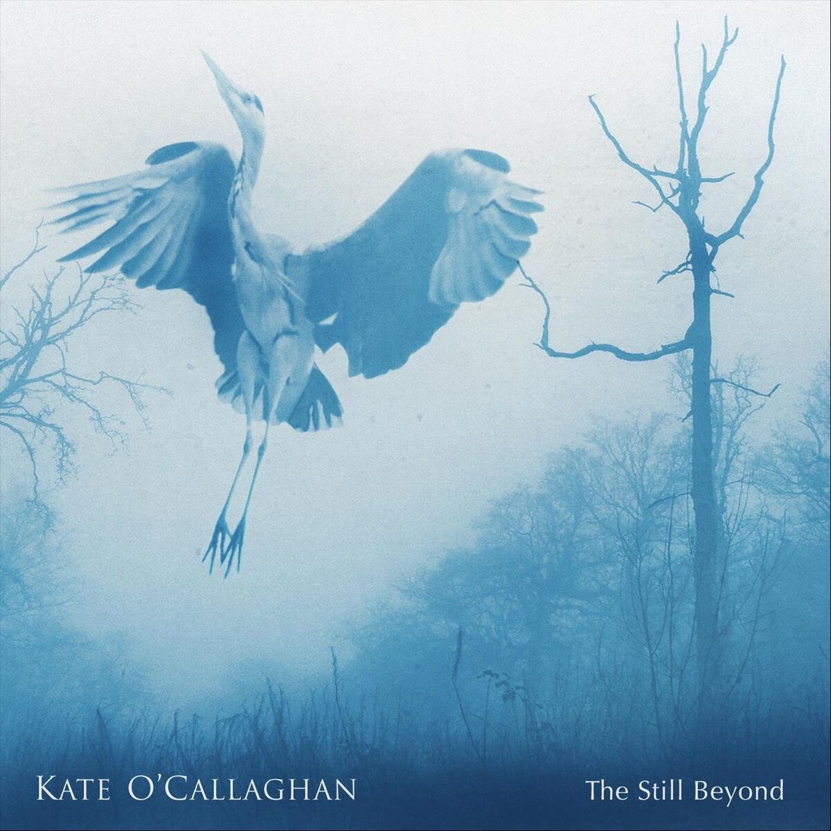 Album cover of The Still Beyond