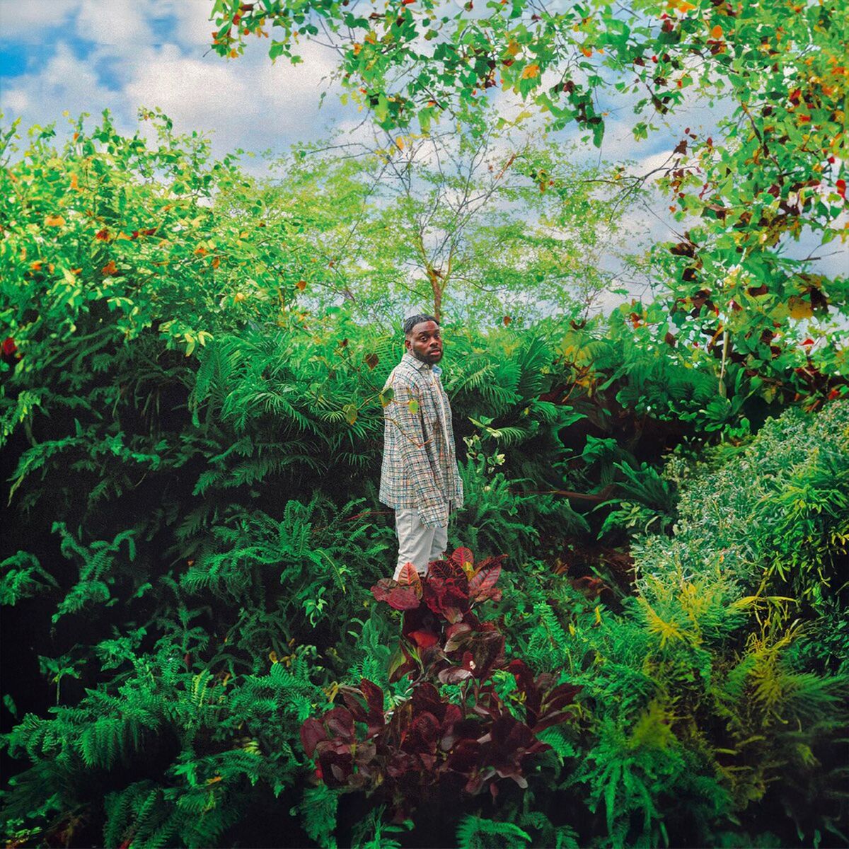 Album cover of The Greenhouse Project (Deluxe)
