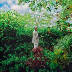 Cover of The Greenhouse Project (Deluxe)