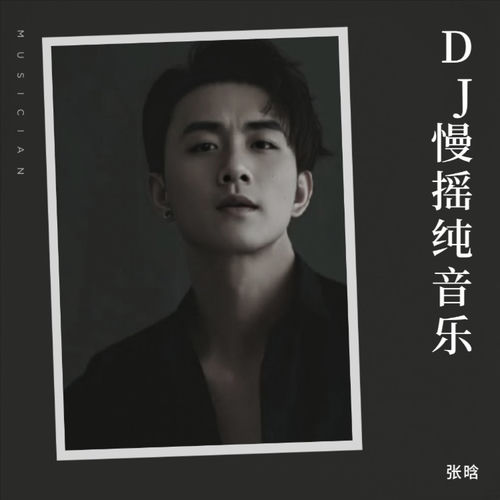 DJ慢摇 (纯音乐)