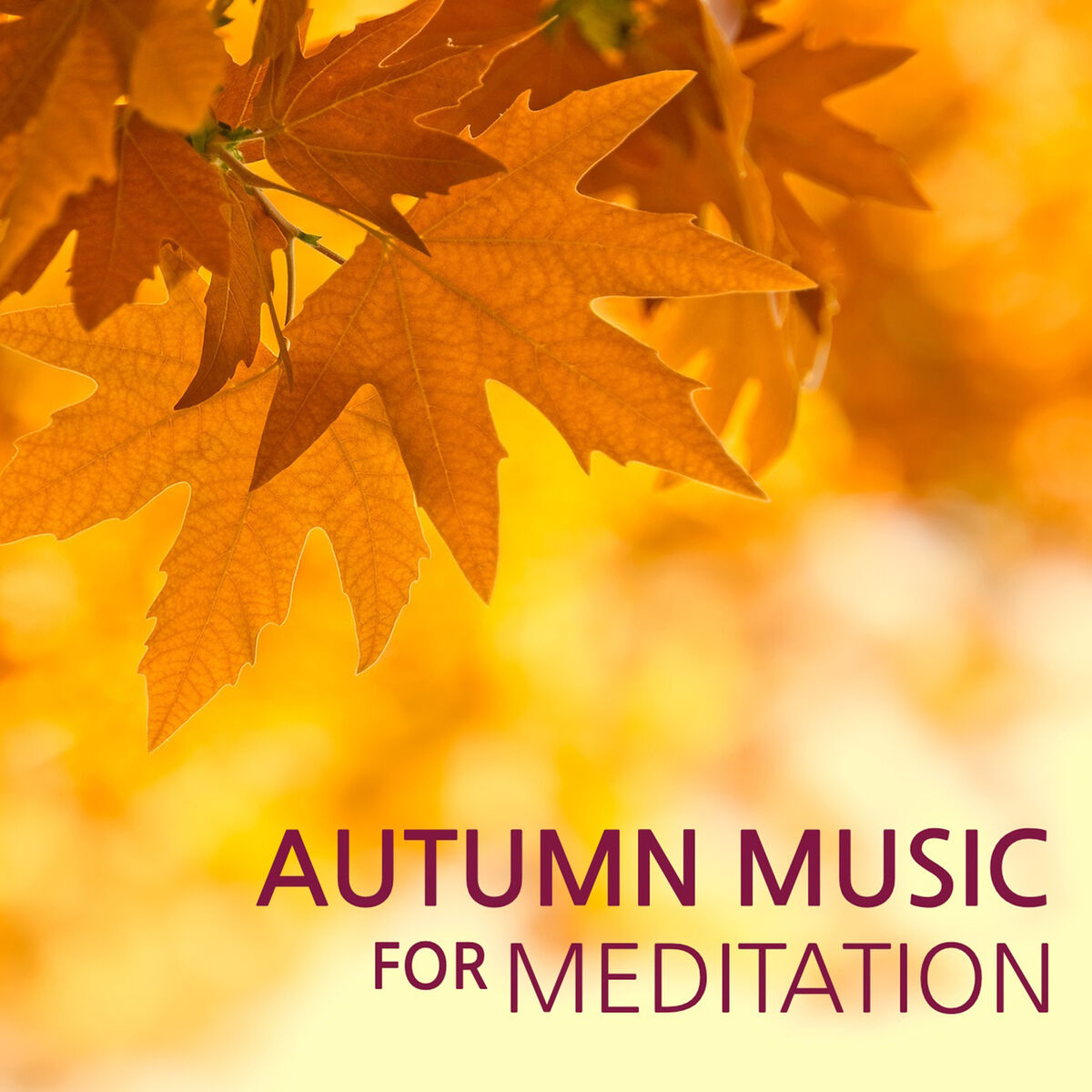 Album cover of Calming Music Peaceful Song
