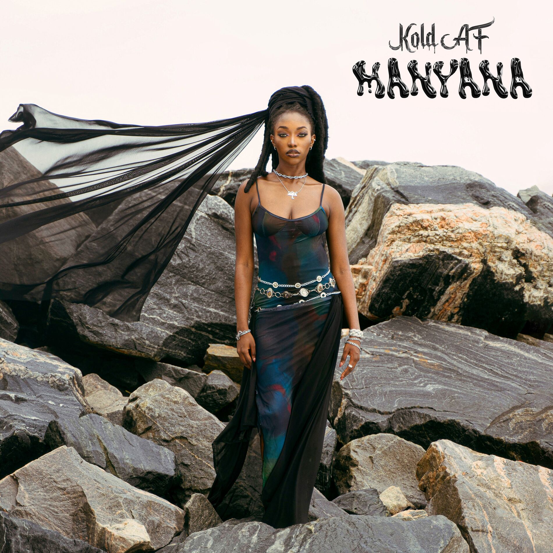 Album cover of Manyana