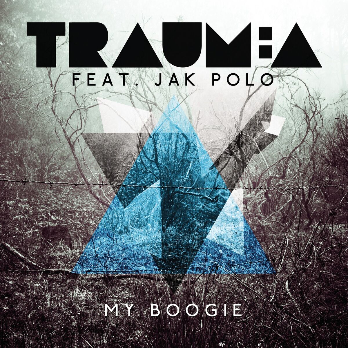 Album cover of My Boogie (feat. Jak Polo)