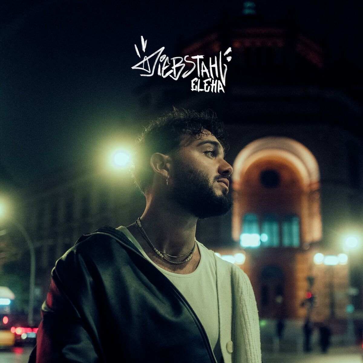 Album cover of Diebstahl