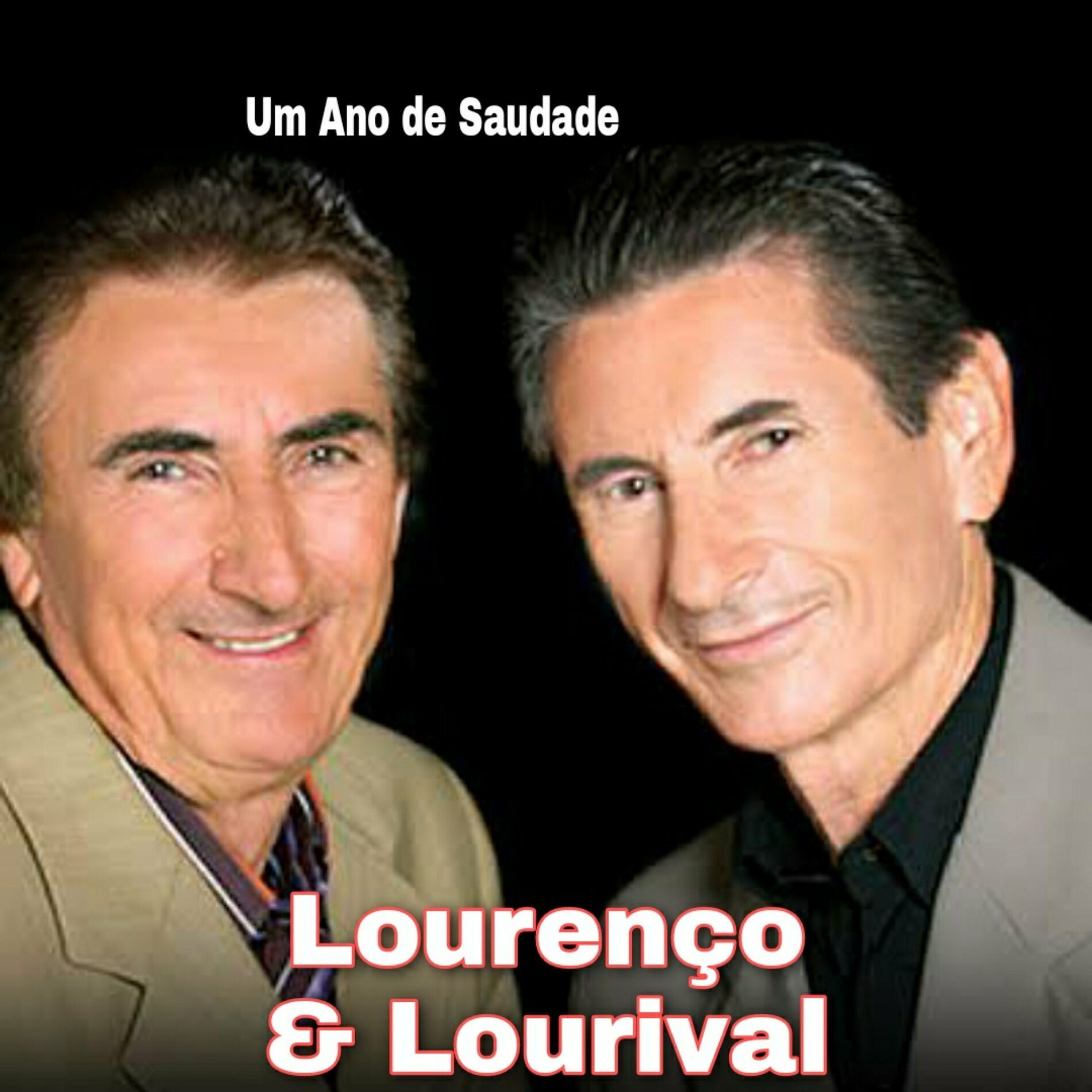 Album cover of Um Ano de Saudade