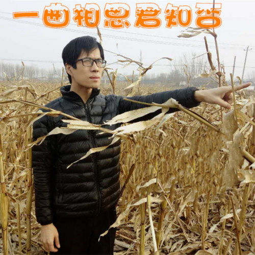 一曲相思君知否