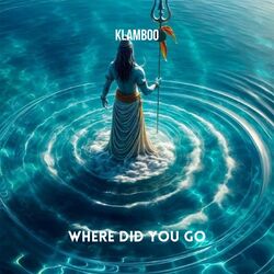 Cover of Where Did You Go