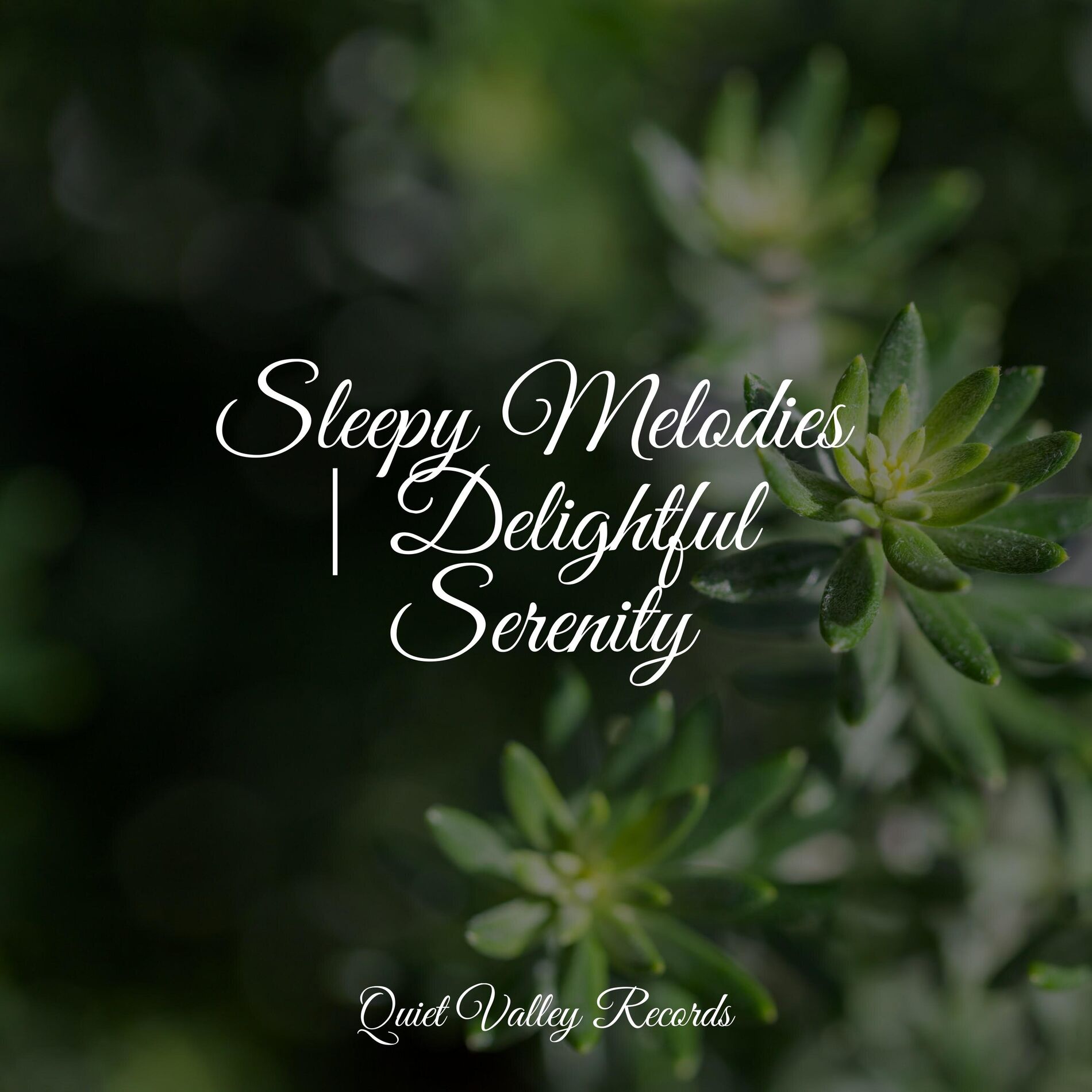 Album cover of Sleepy Melodies | Delightful Serenity