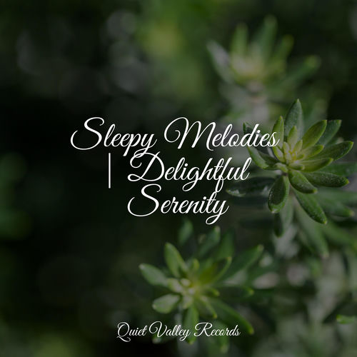 Sleepy Melodies | Delightful Serenity