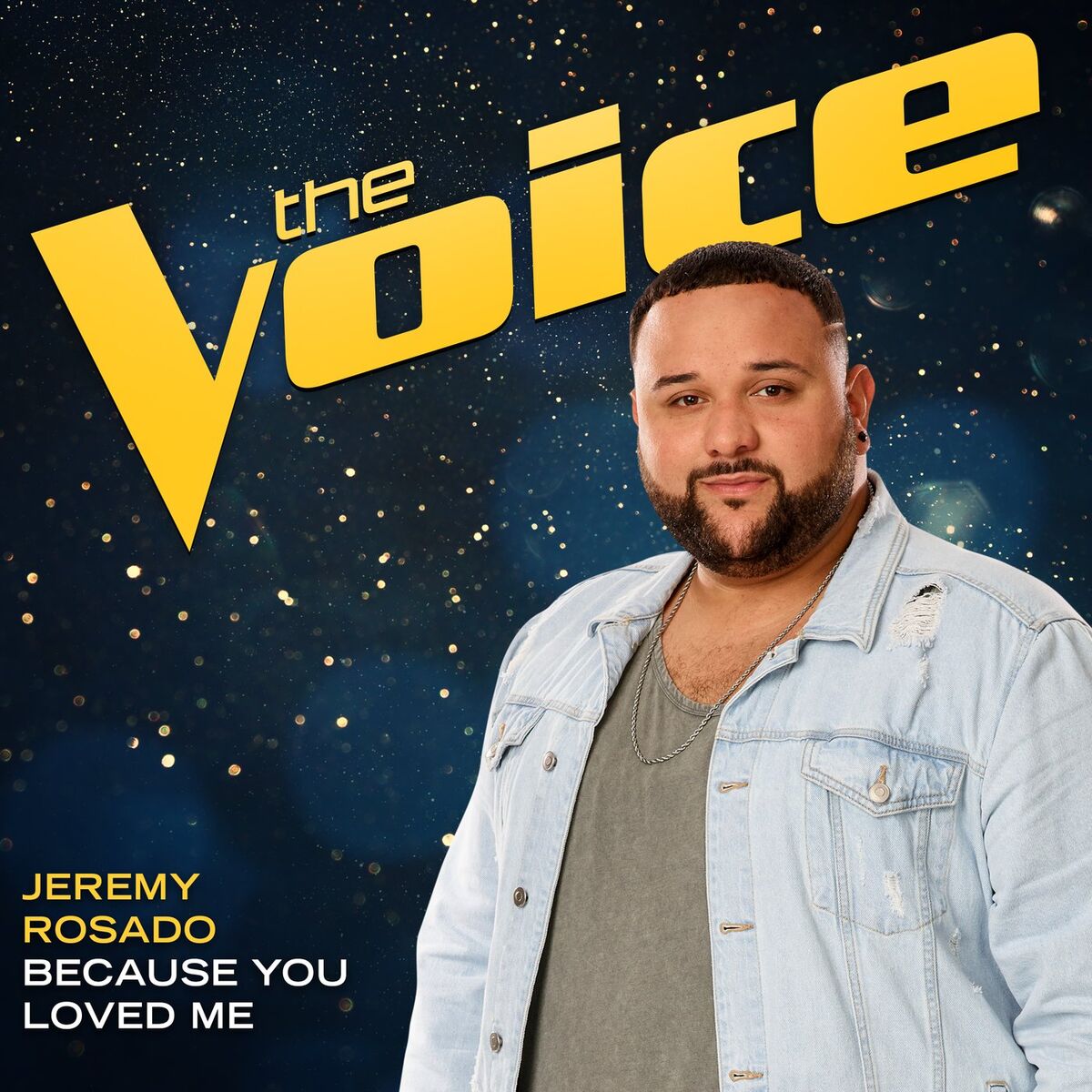 Album cover of Because You Loved Me (The Voice Performance)