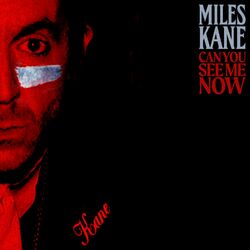 Cover of Can You See Me Now