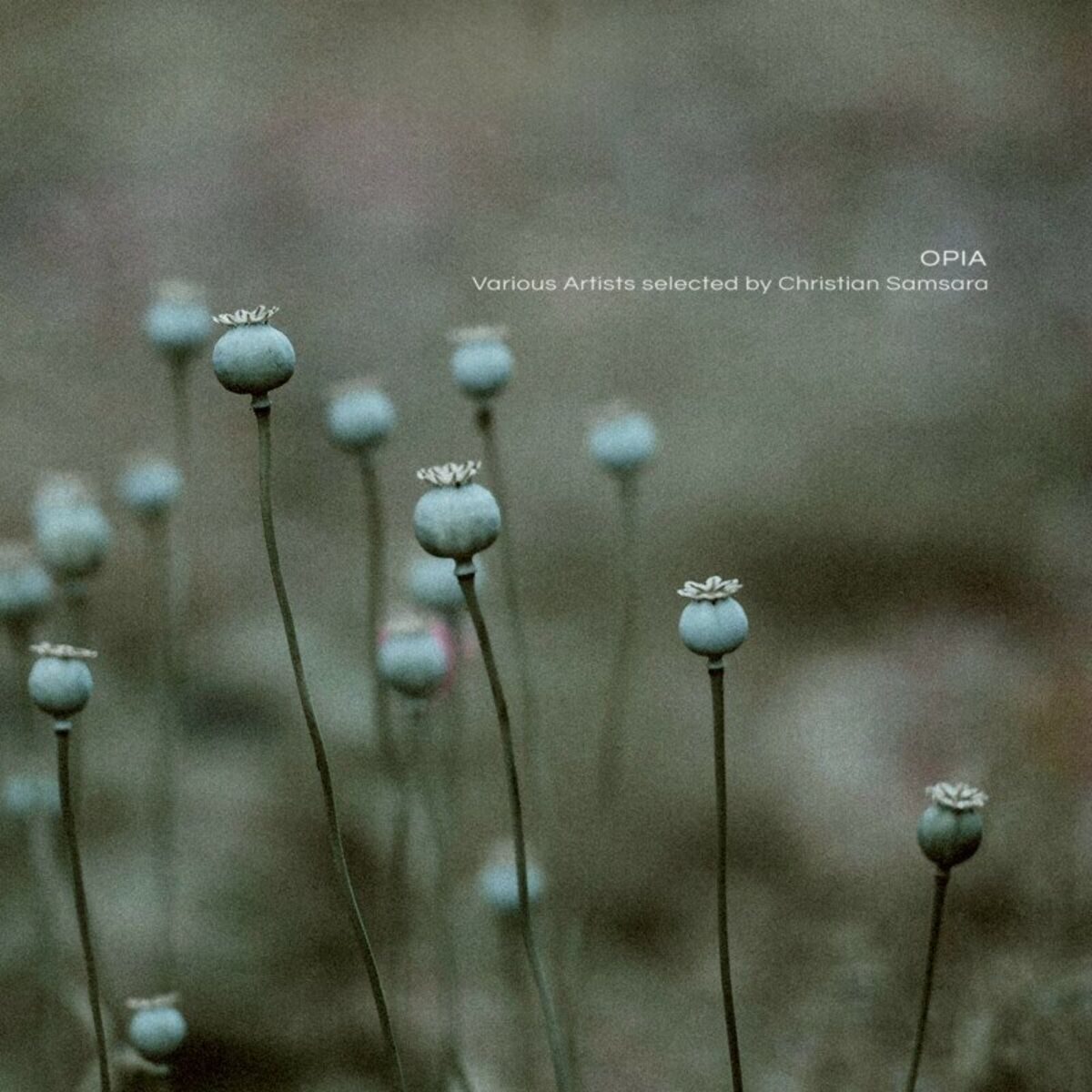 Album cover of Nordfeld