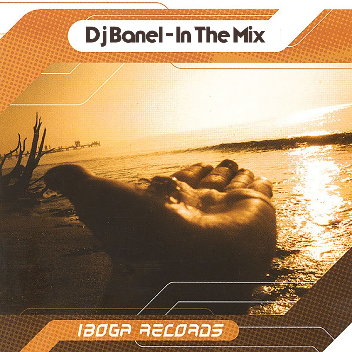 Album cover of DJ Banel in the Mix