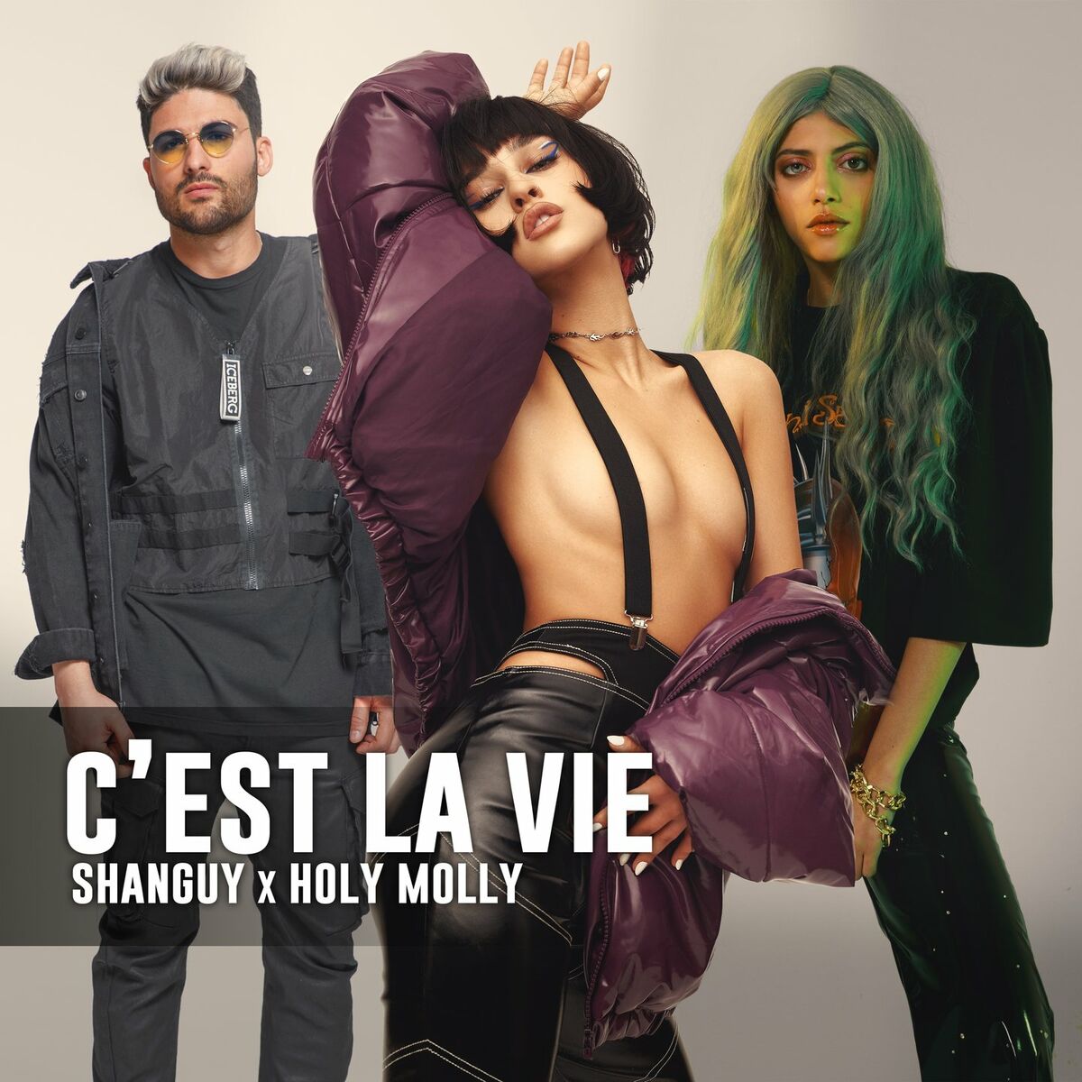Album cover of C'est la vie