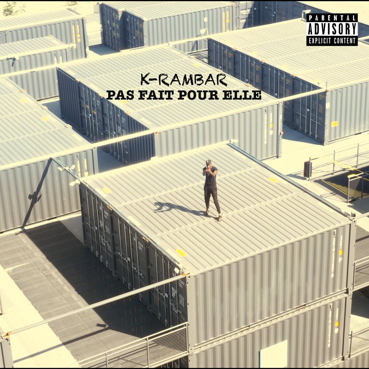 Album cover of Pas fait pour elle