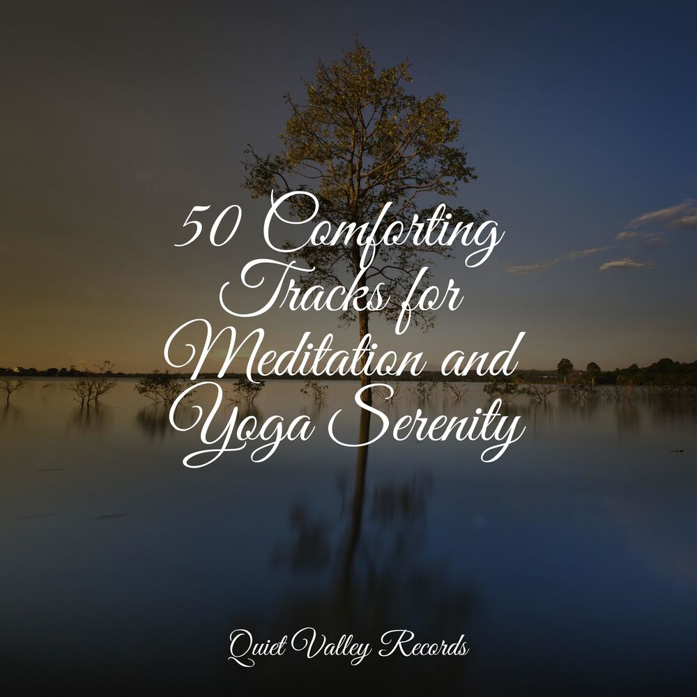 Picture of 50 Comforting Tracks for Meditation and Yoga Serenity