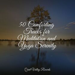 Cover of 50 Comforting Tracks for Meditation and Yoga Serenity