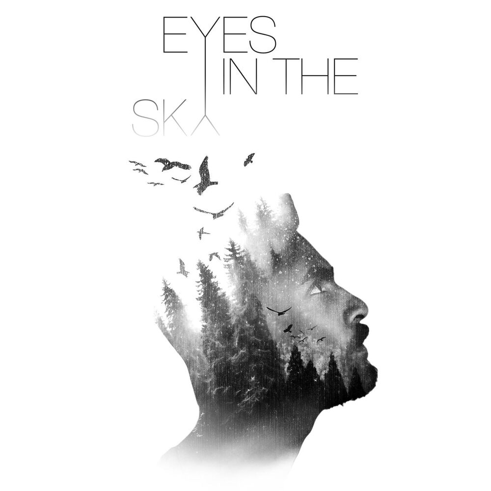 Picture of Eyes In The Sky