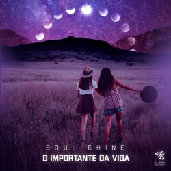 Cover of O Importante da vida