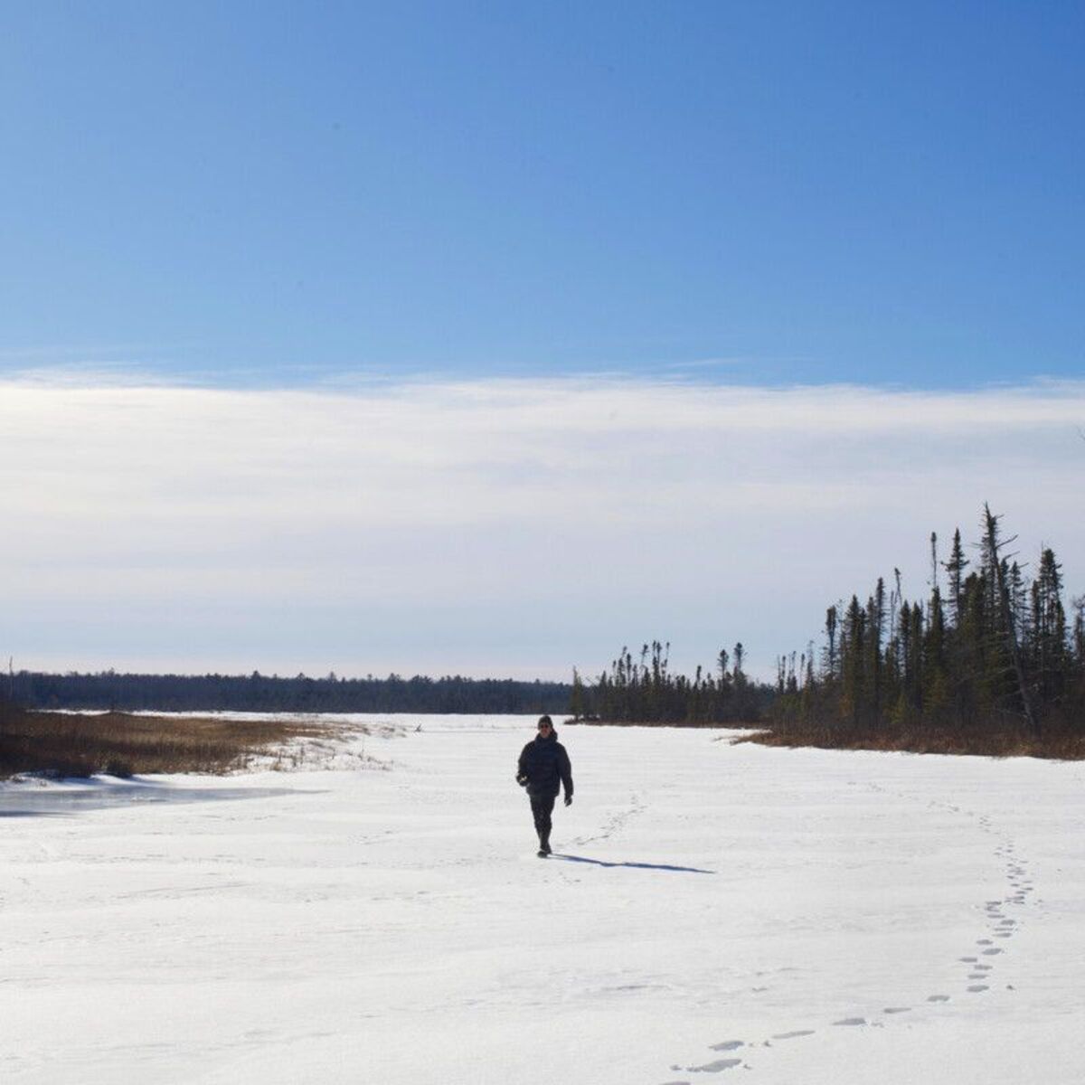 Album cover of 25, winter