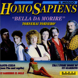 Cover of Il meglio