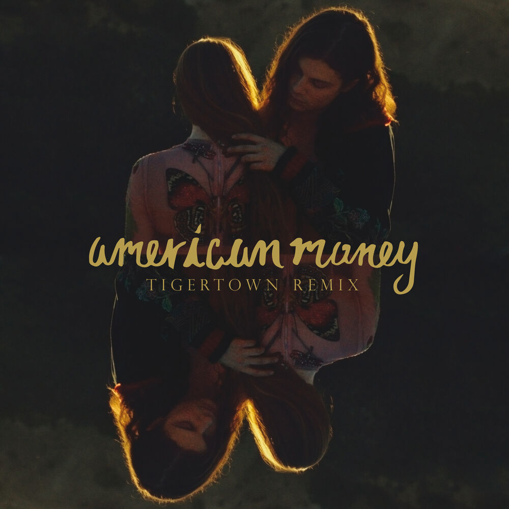Picture of American Money (Tigertown Remix)