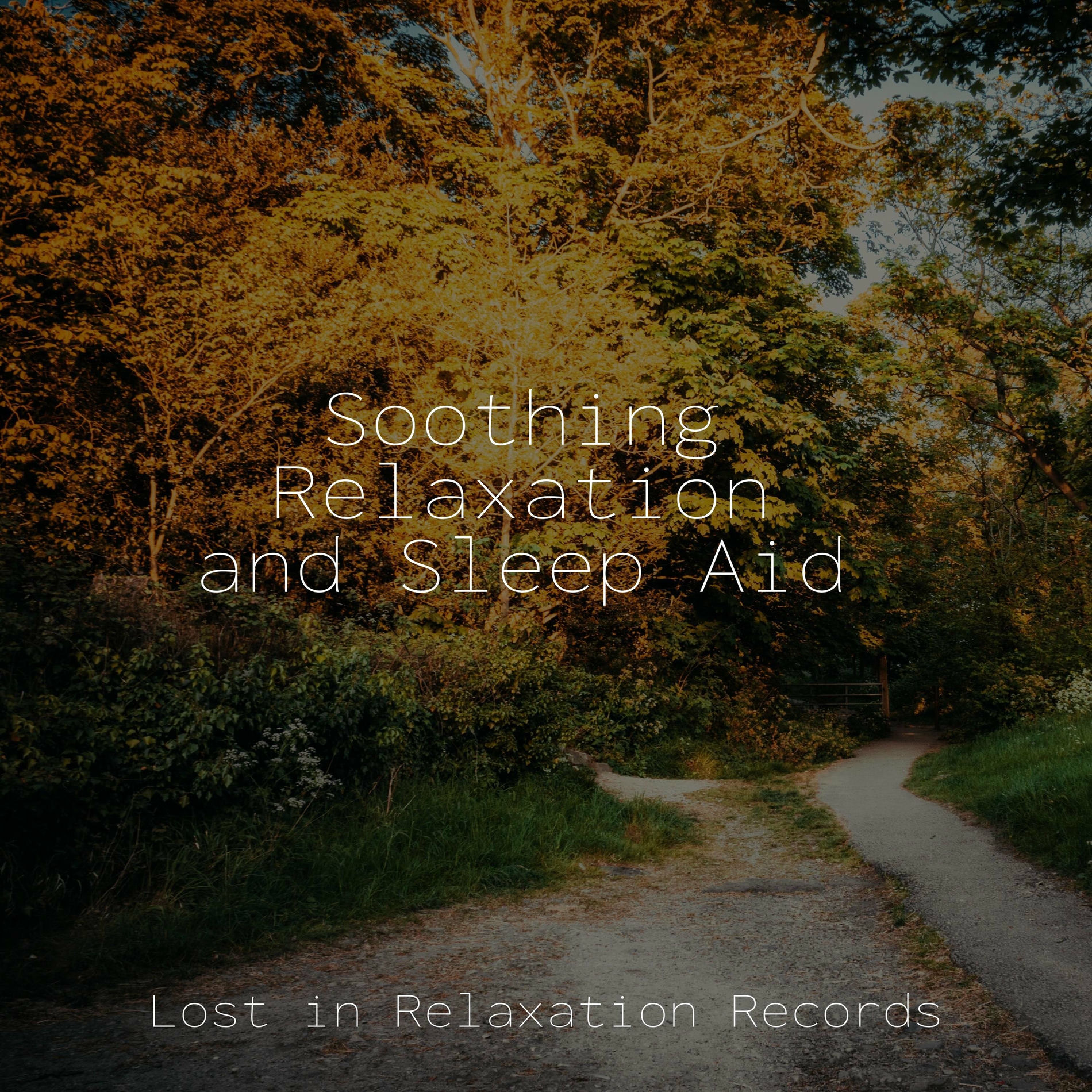 Album cover of Soothing Relaxation and Sleep Aid