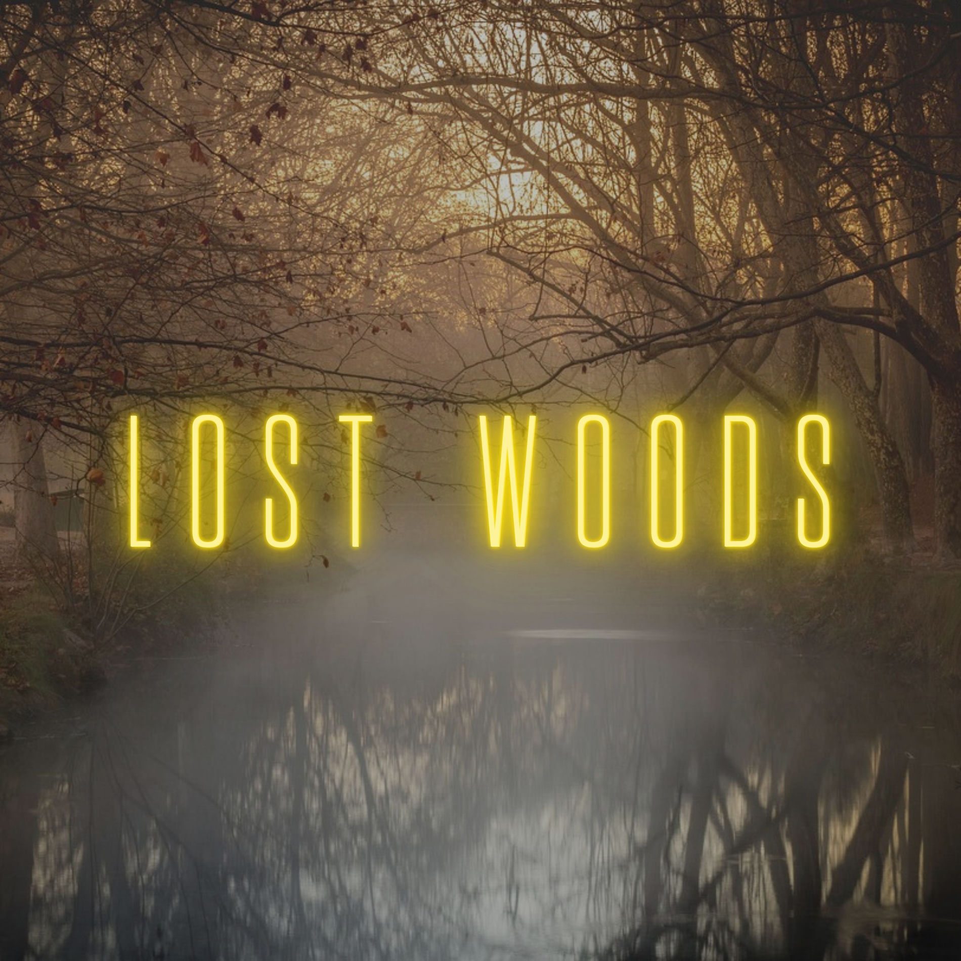 Album cover of Lost Woods