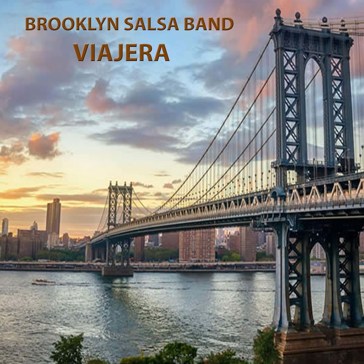 Album cover of Viajera