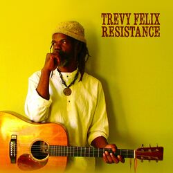Cover of Resistance