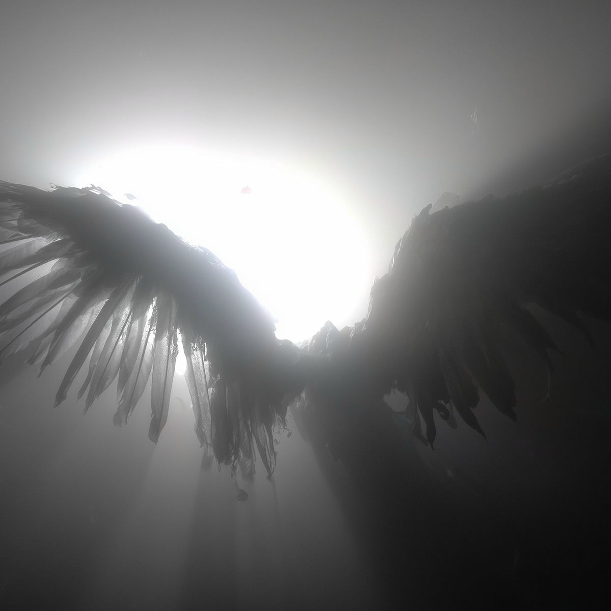 Album cover of BETWEEN HELL