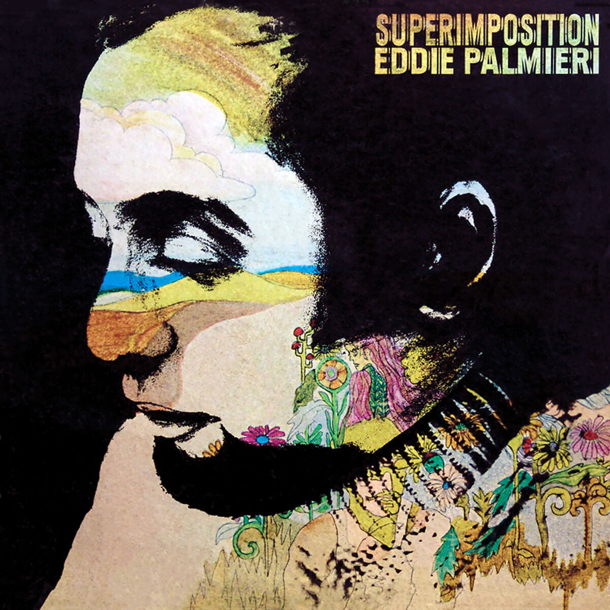 Album cover of Superimposition