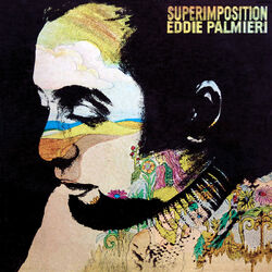Cover of Superimposition