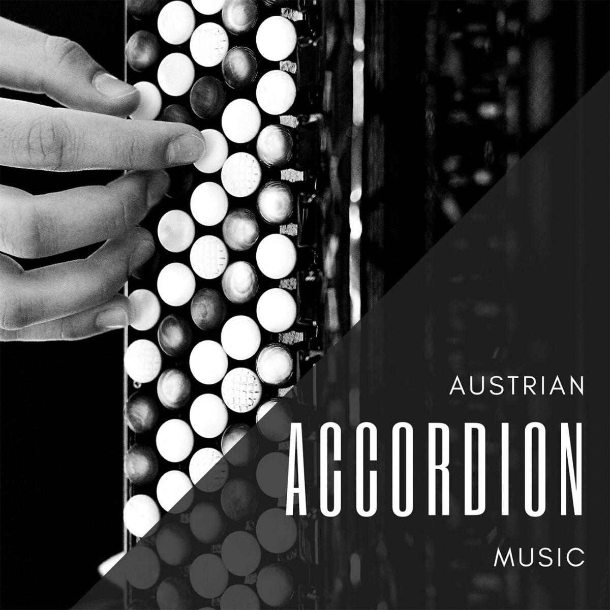 Album cover of Austrian Accordion Music