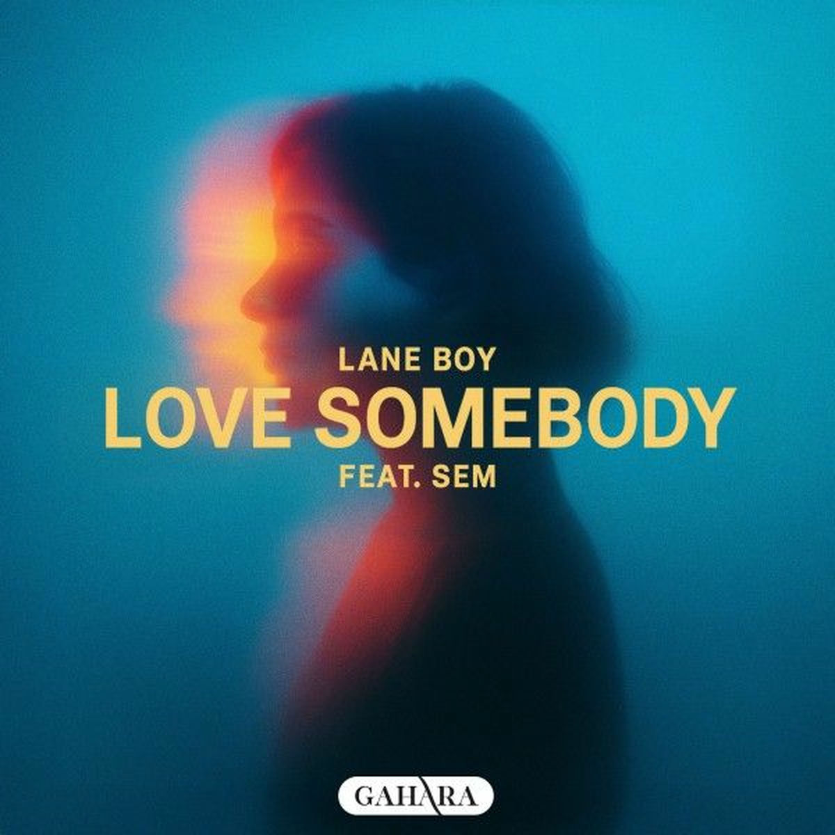 Album cover of Love Somebody