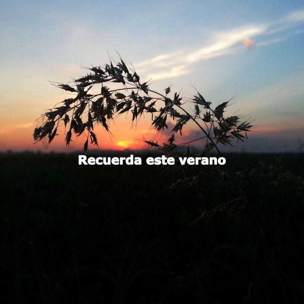Picture of Recuerda este verano