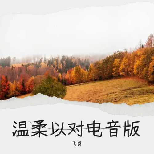 温柔以对 (电音版)