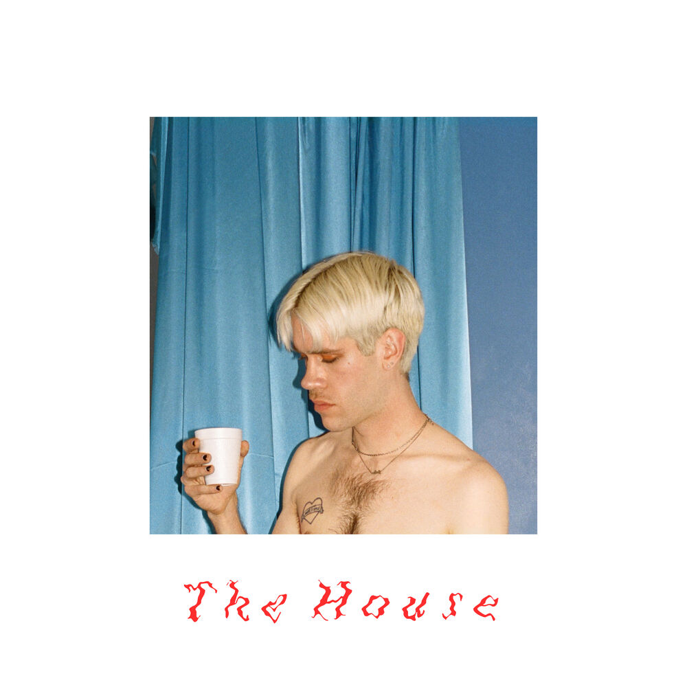Picture of The House