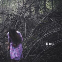 Cover of Phimola